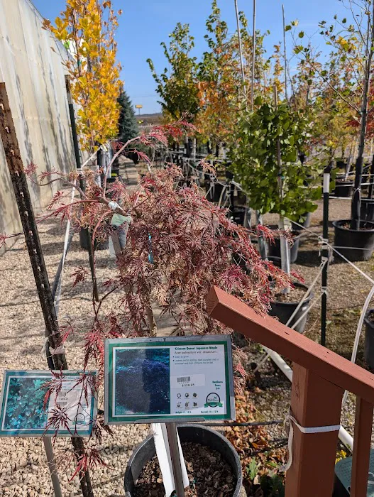 McKay Garden Center - Oshkosh Picture 3