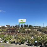 McKay Garden Center - Oshkosh