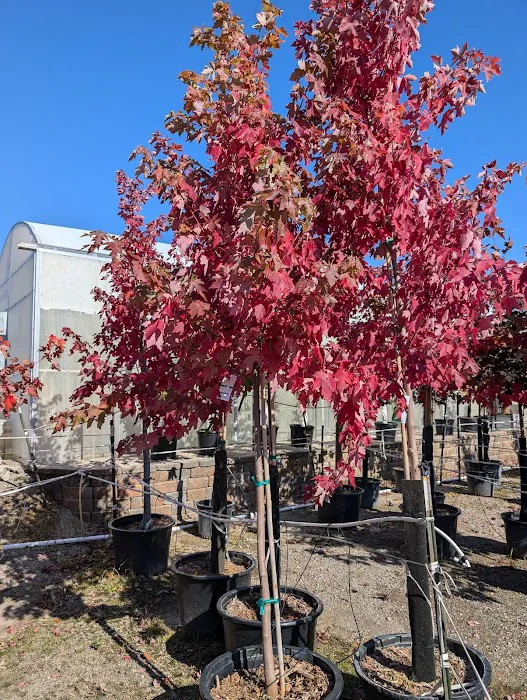 McKay Garden Center - Oshkosh Picture 8