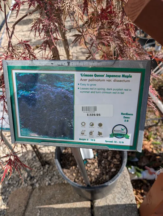 McKay Garden Center - Oshkosh Picture 5