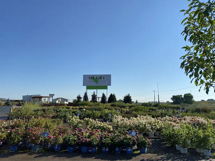 McKay Garden Center - Oshkosh Picture 7