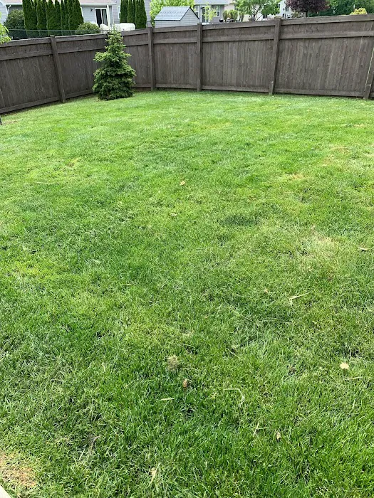 Outdoor Independence LLC Picture 6