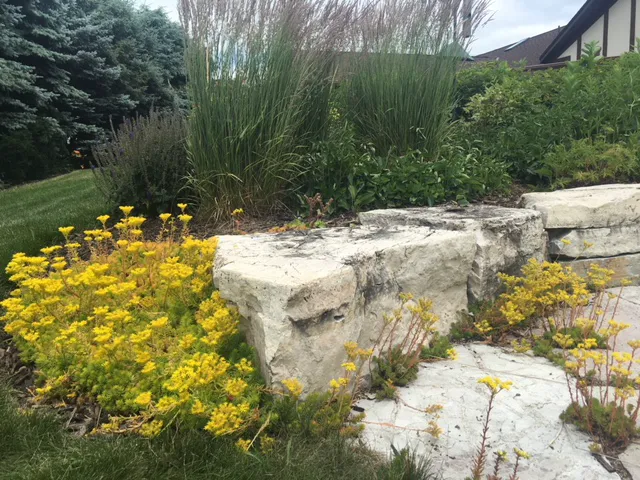 Landmark Landscapes Inc Picture 5
