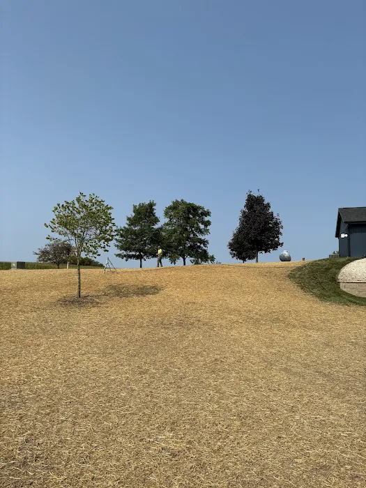 Beyond Landscaping LLC WI Picture 2