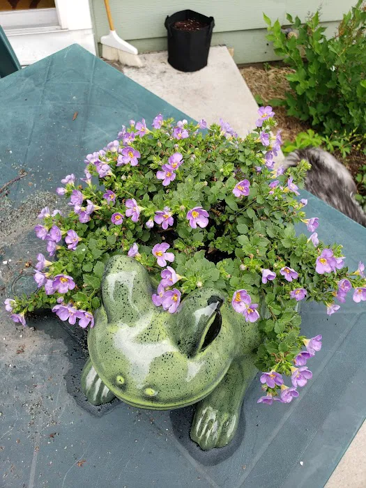 Rathjen Garden Outlet Picture 1