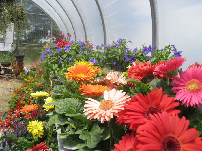Rathjen Garden Outlet Picture 6