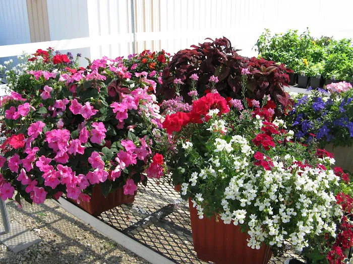Rathjen Garden Outlet Picture 3