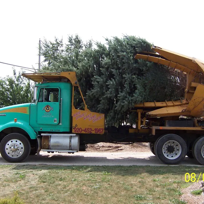 A&M Trees LLC Picture 10