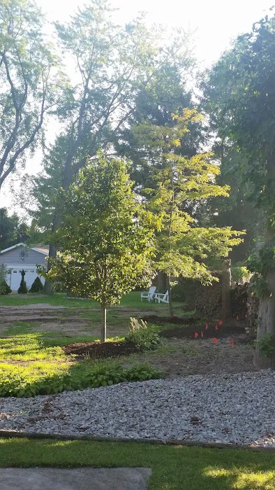 A&M Trees LLC Picture 6