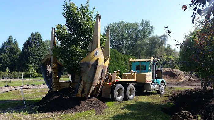 A&M Trees LLC Picture 4