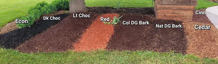 A&M Trees LLC Picture 3