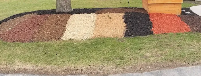 A&M Trees LLC Picture 7