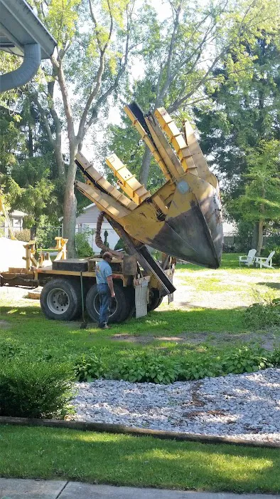 A&M Trees LLC Picture 8