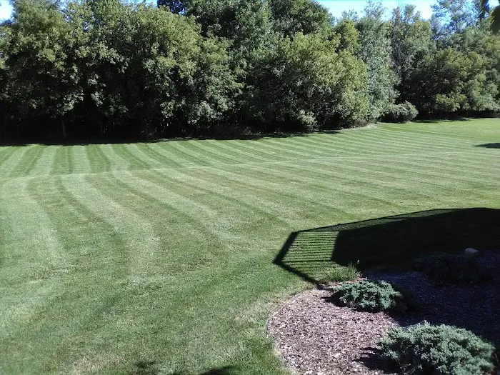Skyrunner Lawn and Service, LLC Picture 6