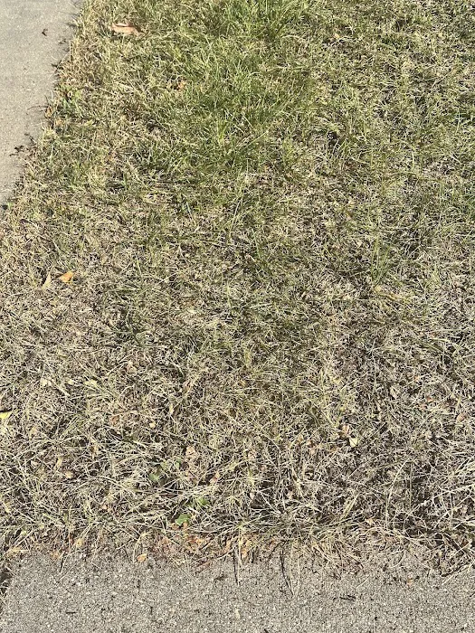 Naturescape Lawn and Landscape Care Picture 4
