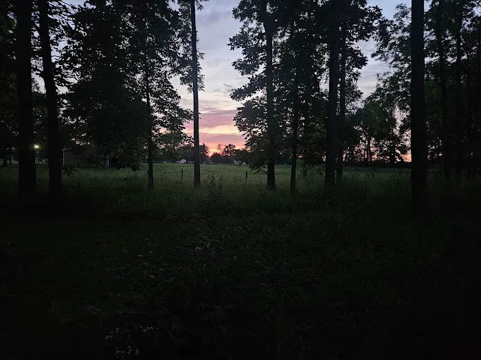Sweet Creek Landscaping Picture 1