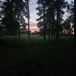 Sweet Creek Landscaping