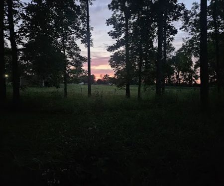 Sweet Creek Landscaping