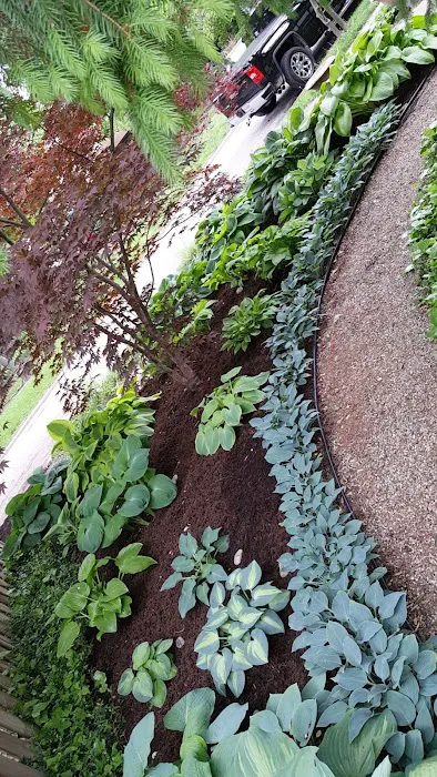 Lyons Lawncare & Landscape LLC Picture 6