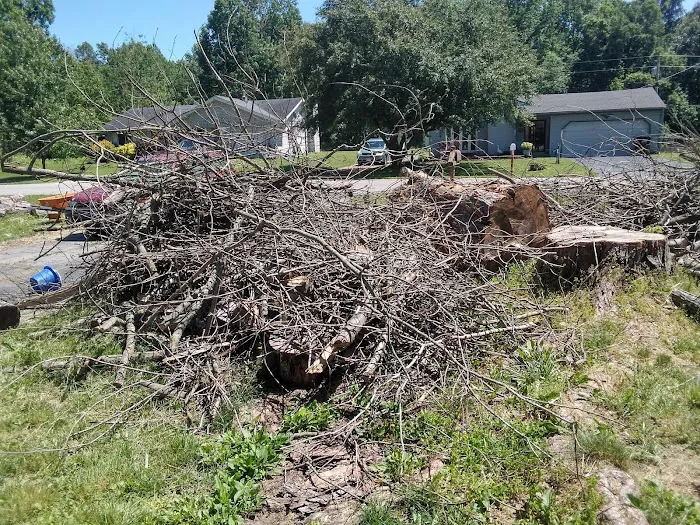 Vince McAdams Lawn Care & Clean-up Picture 3