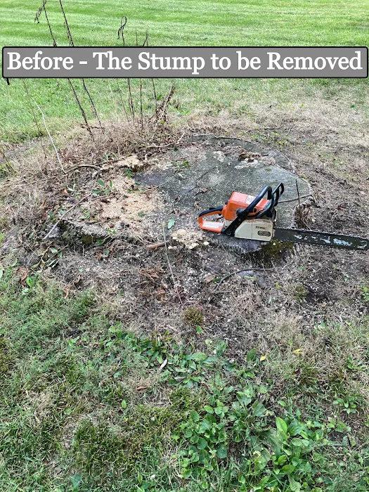 Gilmore's Stump Removal Picture 4