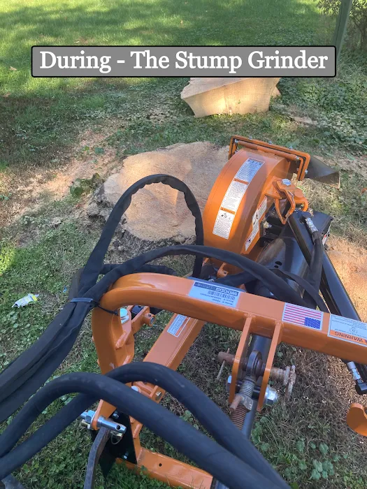 Gilmore's Stump Removal Picture 2