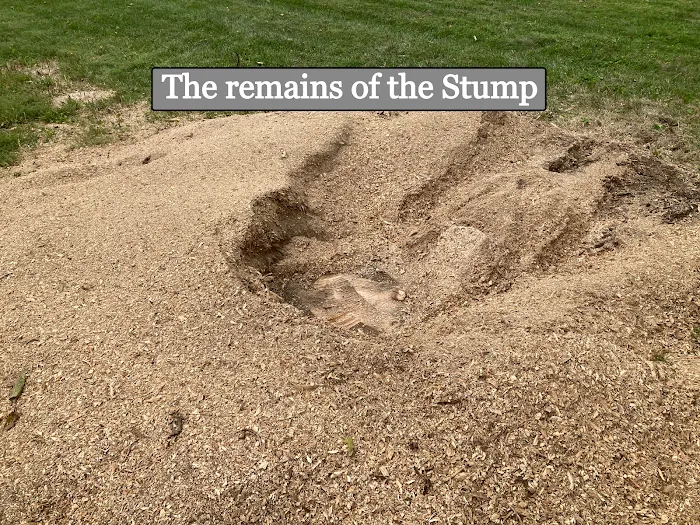 Gilmore's Stump Removal Picture 3