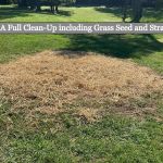 Gilmore's Stump Removal