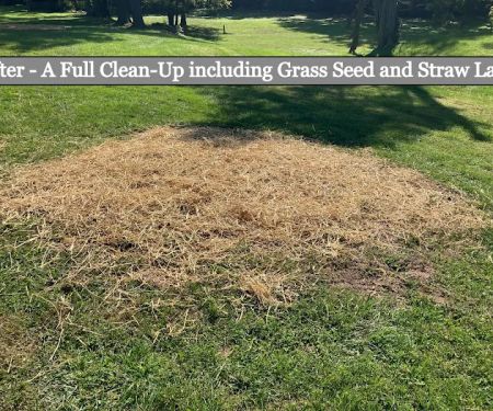 Gilmore's Stump Removal