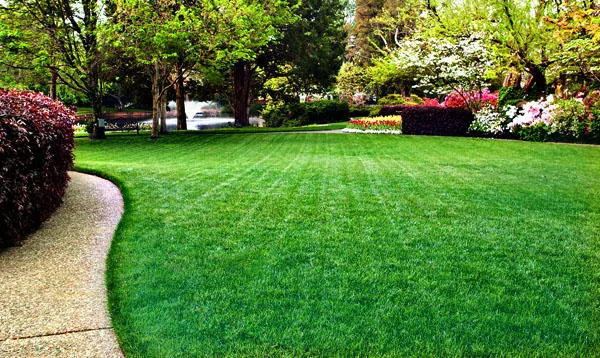 Estes Material Sales, Inc. Picture 5