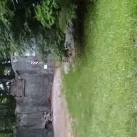 Wehmiller Lawn Care ico