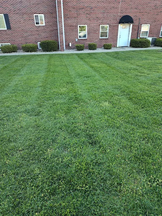 JD & tree lawncare Picture 4