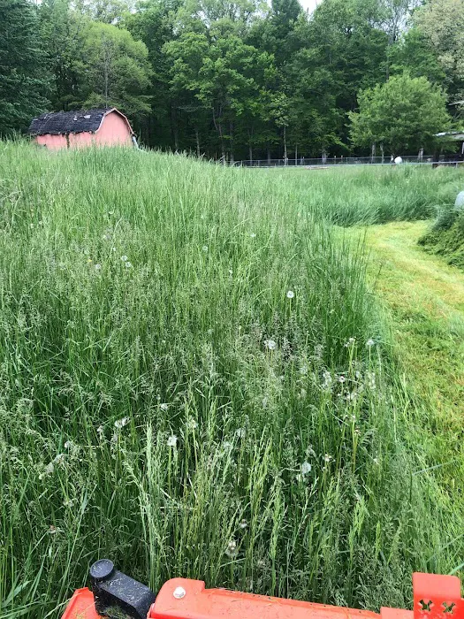 O'Neal Precision Mowing Picture 1