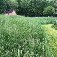 O'Neal Precision Mowing ico