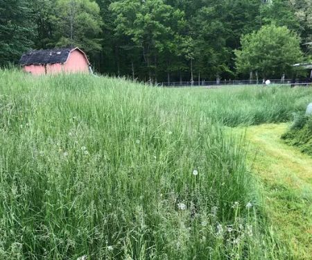 O'Neal Precision Mowing