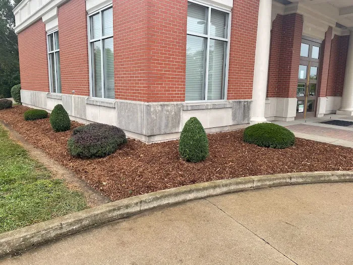 Stacy's Lawn Care LLC Picture 10