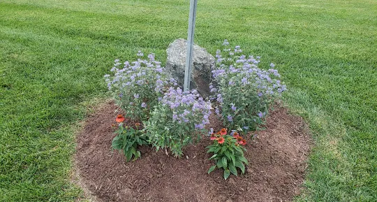 Morin's Landscaping Picture 2