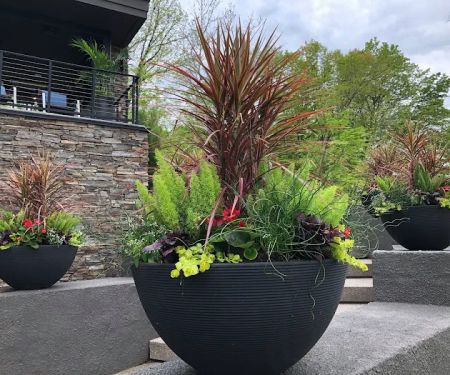 Pots and Planters