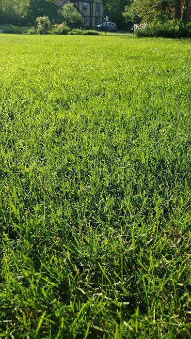 Goodin Ground Maintenance Picture 4