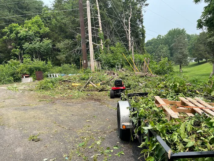 Lykins lawncare and landscaping llc Picture 8