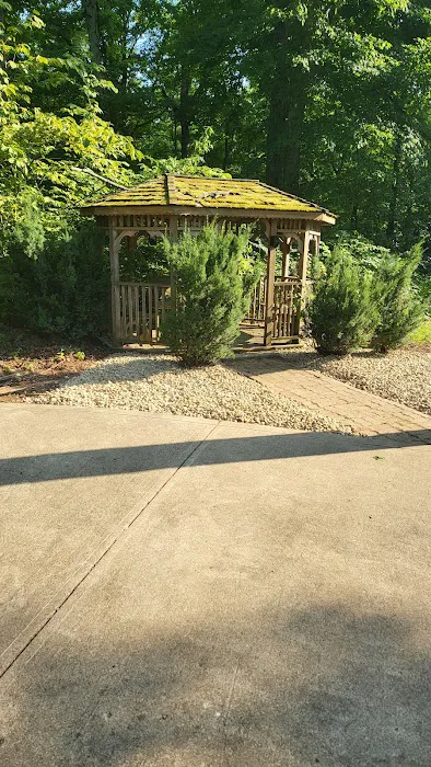 Premier Home and Lawn Maintenance Picture 1