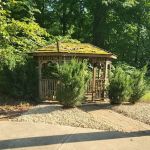 Premier Home and Lawn Maintenance