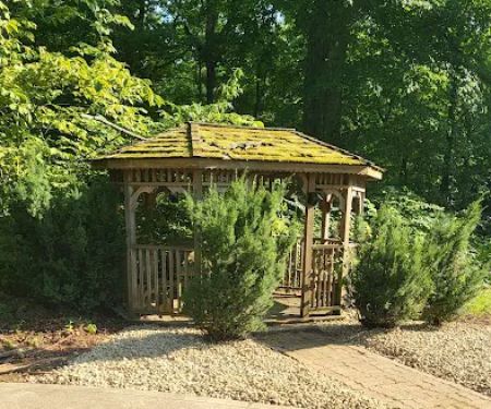 Premier Home and Lawn Maintenance