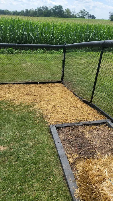 Premier Home and Lawn Maintenance Picture 7