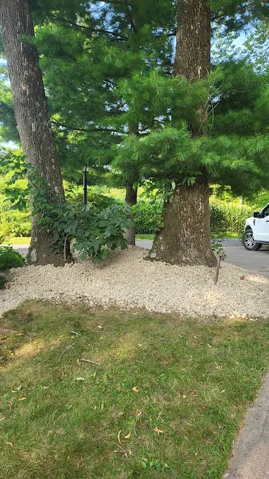 Premier Home and Lawn Maintenance Picture 10
