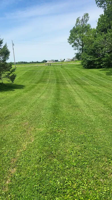 Premier Home and Lawn Maintenance Picture 5