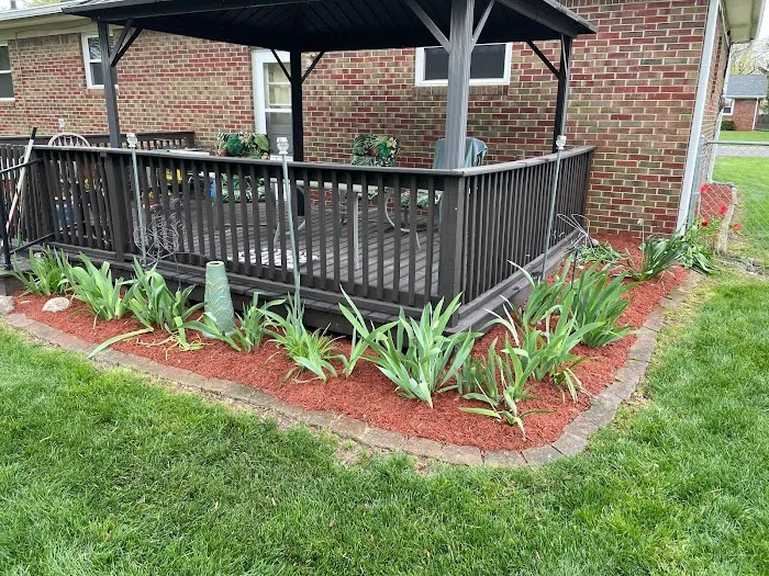 Family Tree Landscaping Picture 8