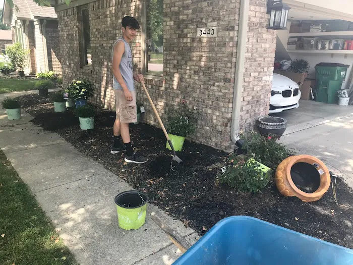 Family Tree Landscaping Picture 2