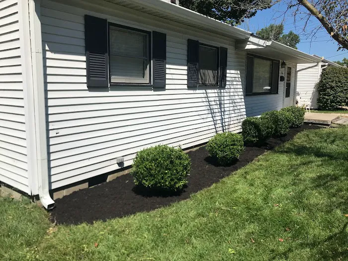 Family Tree Landscaping Picture 3