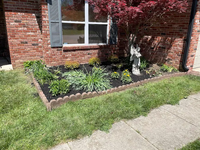 Family Tree Landscaping Picture 7